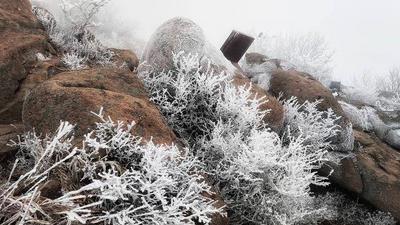 @青岛人，2月1日至5月10日，崂山、浮山、金岭山这些山林区域持续封山防火