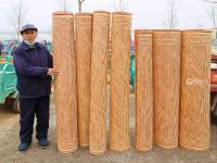 除了红席还有啥？一起来泊里大集看看吧