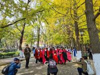  不平凡的2020㉙：让我用图片与你交流