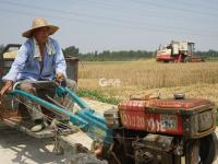 不平凡的2020⑳：记录生活的点滴