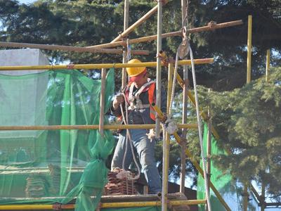 用工紧缺，“码”上对接！青岛市搭建企业急需紧缺用工平台