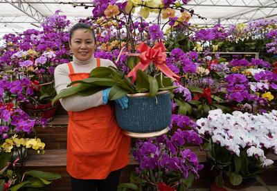 青岛这里百花绽放 哪一株长在你的审美上？