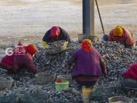 渔民跳入冰海捕捞 讨海背后不为人知的辛苦