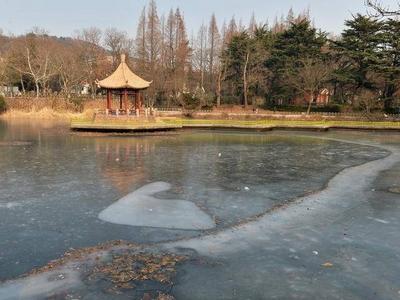 天境之湖！青岛中山公园这里美成画