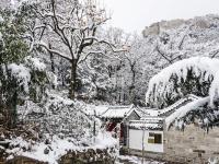 不平凡的2020㉔：用摄影点亮生活