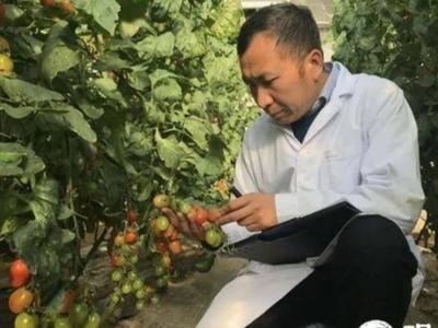 青岛金妈妈农业科技有限公司周玉忠获农业农村部农村创业创新优秀带头人称号