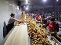 不平凡的2020㉝：感受身边，记录生活