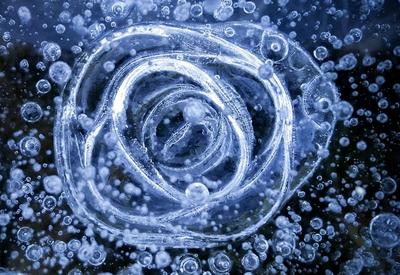 寒冬时节，李村河唯美冰花“怒放”！