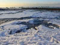 不光结冰，大海都被逼得冒烟了