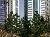 不惧寒风还是为了生活？他们仍然在街头