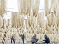 不平凡的2020㊹：用影像留住时光