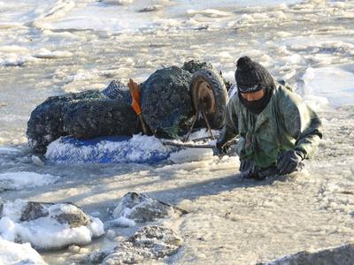 渔民跳入冰海捕捞 讨海背后不为人知的辛苦