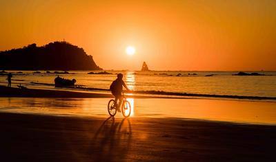 不平凡的2020㊱：藏在镜头中的掠影