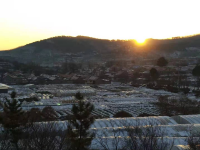 他们，给我们带来新年的第一缕阳光