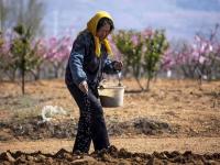 不平凡的2020㉑：上天下海，记录精彩