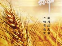存了一年的节气海报 终于可以一下看完了