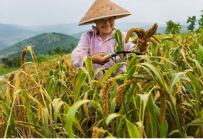 不平凡的2020㉗：我热爱的生活在镜头里