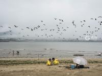 不平凡的2020㉔：用摄影点亮生活