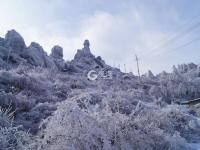 兵雪奇缘 他们一年与雪相伴7个月