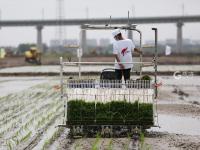 不平凡的2020㊶：光映时代百态