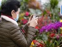 青岛这里百花绽放 哪一株长在你的审美上？