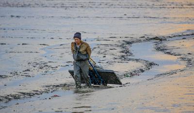 冰雪消融，这帮赶海人又闲不住了
