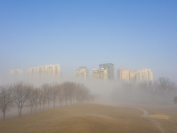 如梦似幻！青岛海滨再现平流雾美景