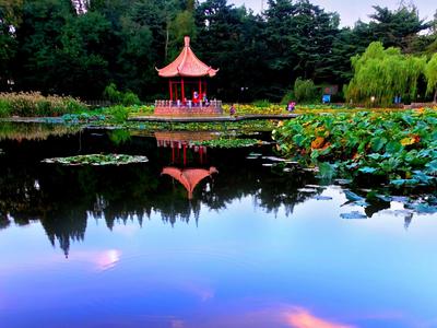 不平凡的2020㉚：城市街拍充满市井味道