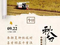 存了一年的节气海报 终于可以一下看完了