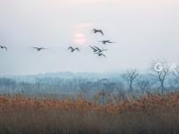 不平凡的2020㉗：我热爱的生活在镜头里