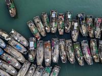 不平凡的2020㉔：用摄影点亮生活