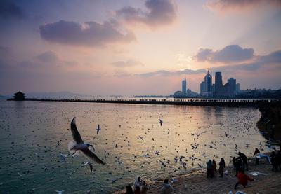 不平凡的2020㊵：发现美，记录美