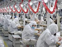 不平凡的2020㊹：用影像留住时光