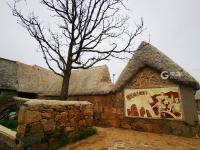 不平凡的2020㉝：感受身边，记录生活