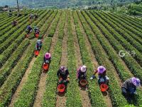 不平凡的2020㉔：用摄影点亮生活