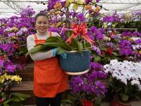 青岛这里百花绽放 哪一株长在你的审美上？