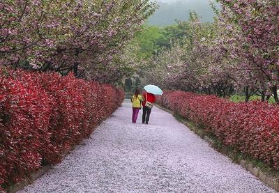 不平凡的2020㊸:我是生活的记录者