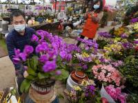 青岛这里百花绽放 哪一株长在你的审美上？