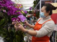 青岛这里百花绽放 哪一株长在你的审美上？