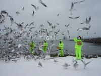 不平凡的2020⑳：记录生活的点滴