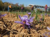 不平凡的2020⑳：记录生活的点滴