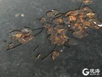 天境之湖！青岛中山公园这里美成画