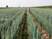 不平凡的2020㉗：我热爱的生活在镜头里