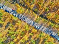 不平凡的2020㊹：用影像留住时光