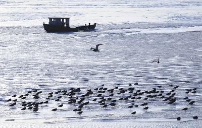 渔民跳入冰海捕捞 讨海背后不为人知的辛苦