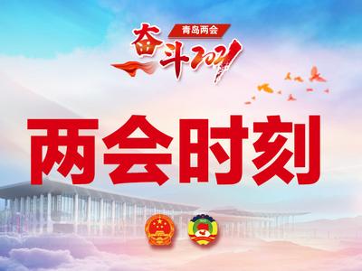 王鲁明参加市北代表团分组审议市人大常委会和市“两院”工作报告