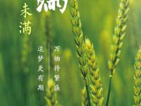 存了一年的节气海报 终于可以一下看完了