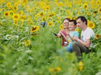 不平凡的2020㉜：疫情下我们依然热爱生活