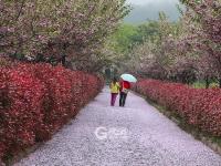 不平凡的2020㊸:我是生活的记录者