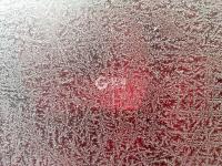 冬日降寒霜 万物披雪衣